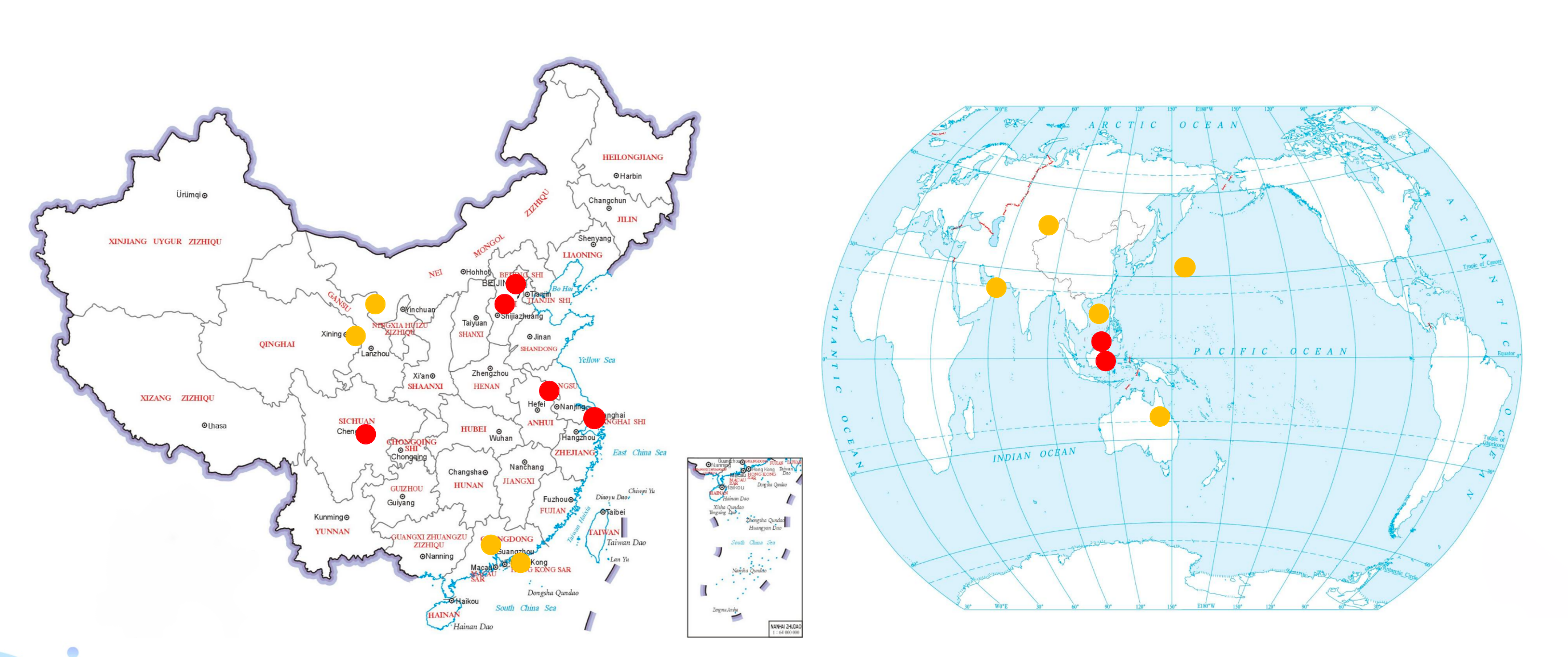 China and global delivery network
